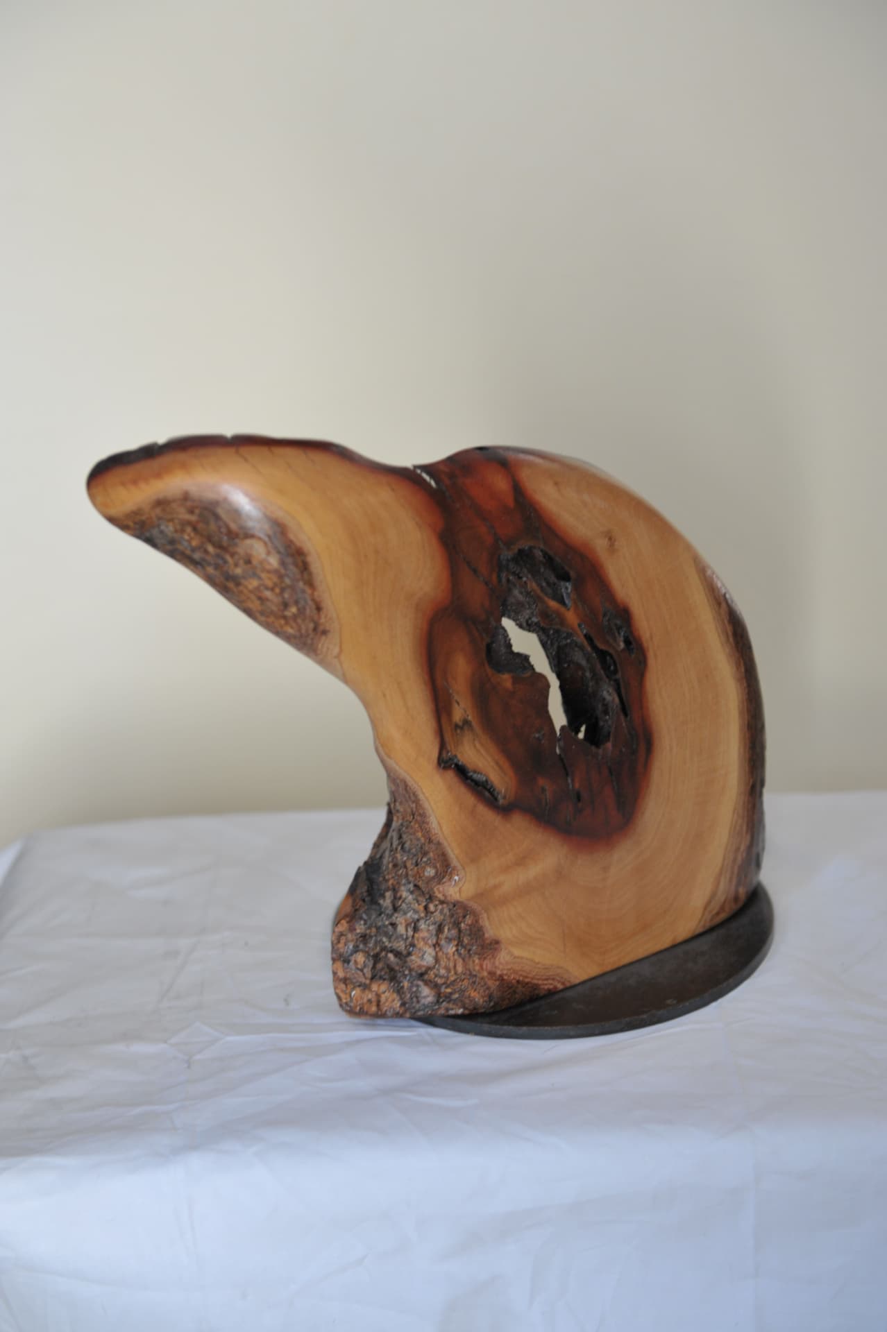 Polished tree-section wood sculpture with a hollow knot hole through the centre and bark preserved along one edge, standing on a dark base