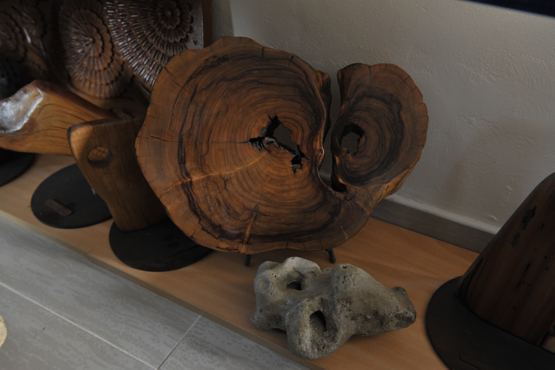 Cross-cut wood slab with two fused lobes, open fissures and dark growth rings, standing on short black legs on a shelf